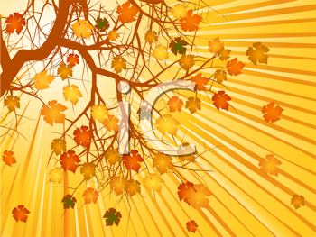 Thanksgiving Clipart